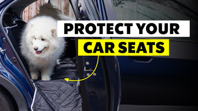 Protecting Interiors: A Guide to Car Seat Covers for Pet Owners