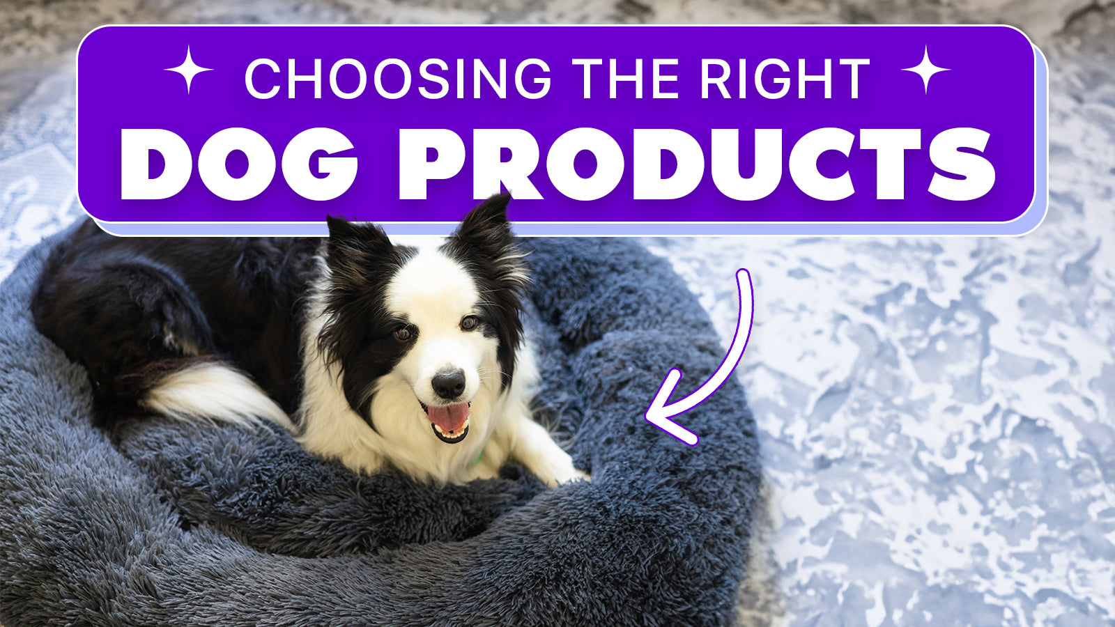 Choosing a dog outlet bed