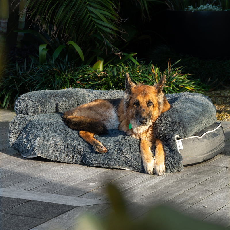 Brooklyn® Chew Proof Luxe Lounger (2-in-1 Dog Bed)