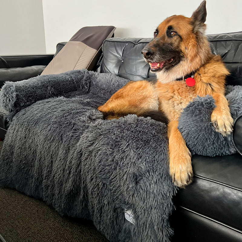 Brooklyn® Protector (Calming Couch Dog Bed)