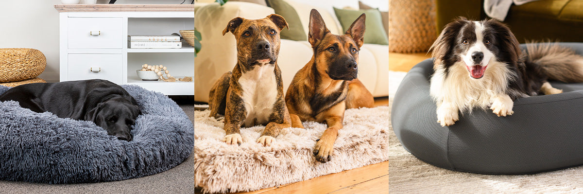 Pet Friendly Farmers Market Dog Shop NZ Dog Beds The Brooklyn Up To $70 Off Sitewide