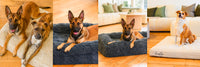 Spare Covers for Memory Foam Dog Beds