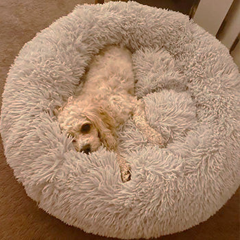 Happy customer with their bed
