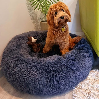 Happy customer with their bed