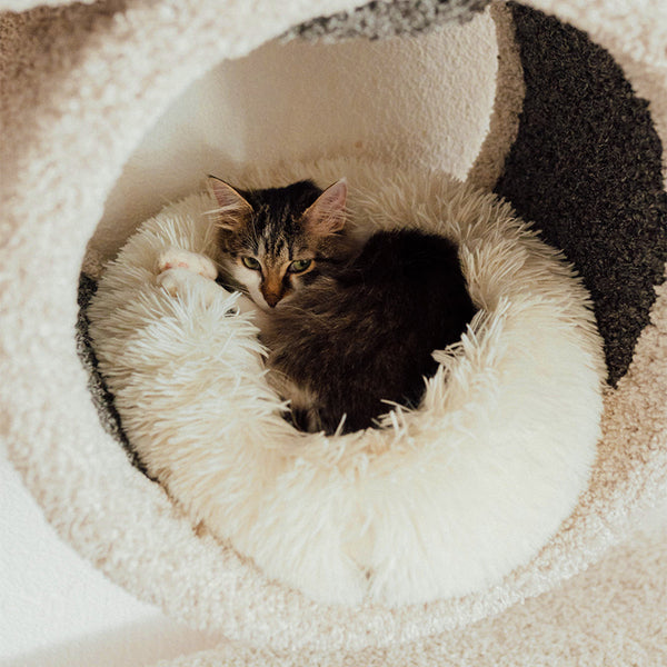 Brooklyn® Deep Sleep Cat Bed