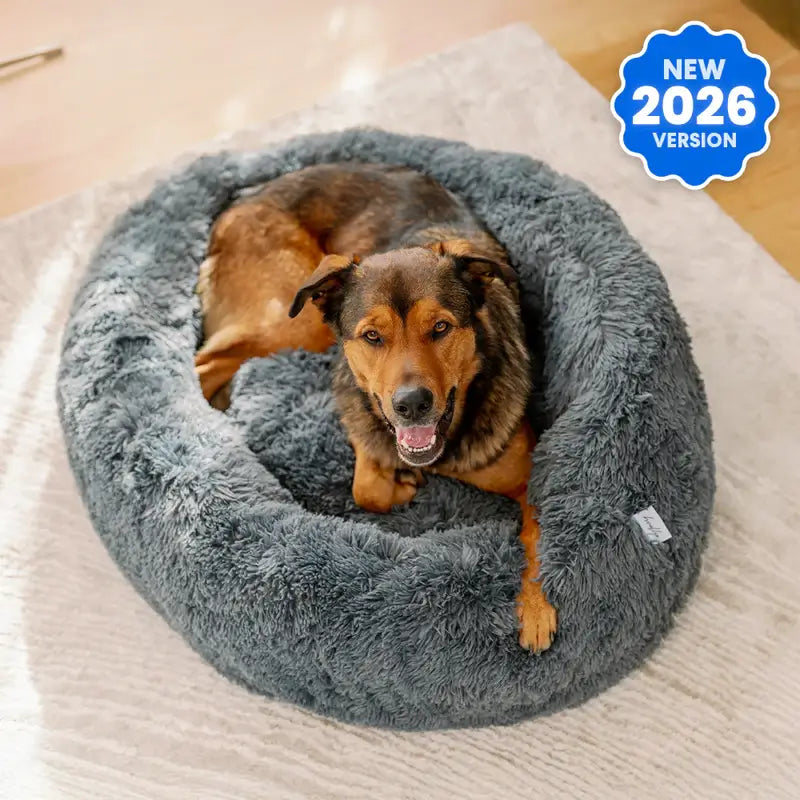 Ultimate Dog Starter Bundle Pack