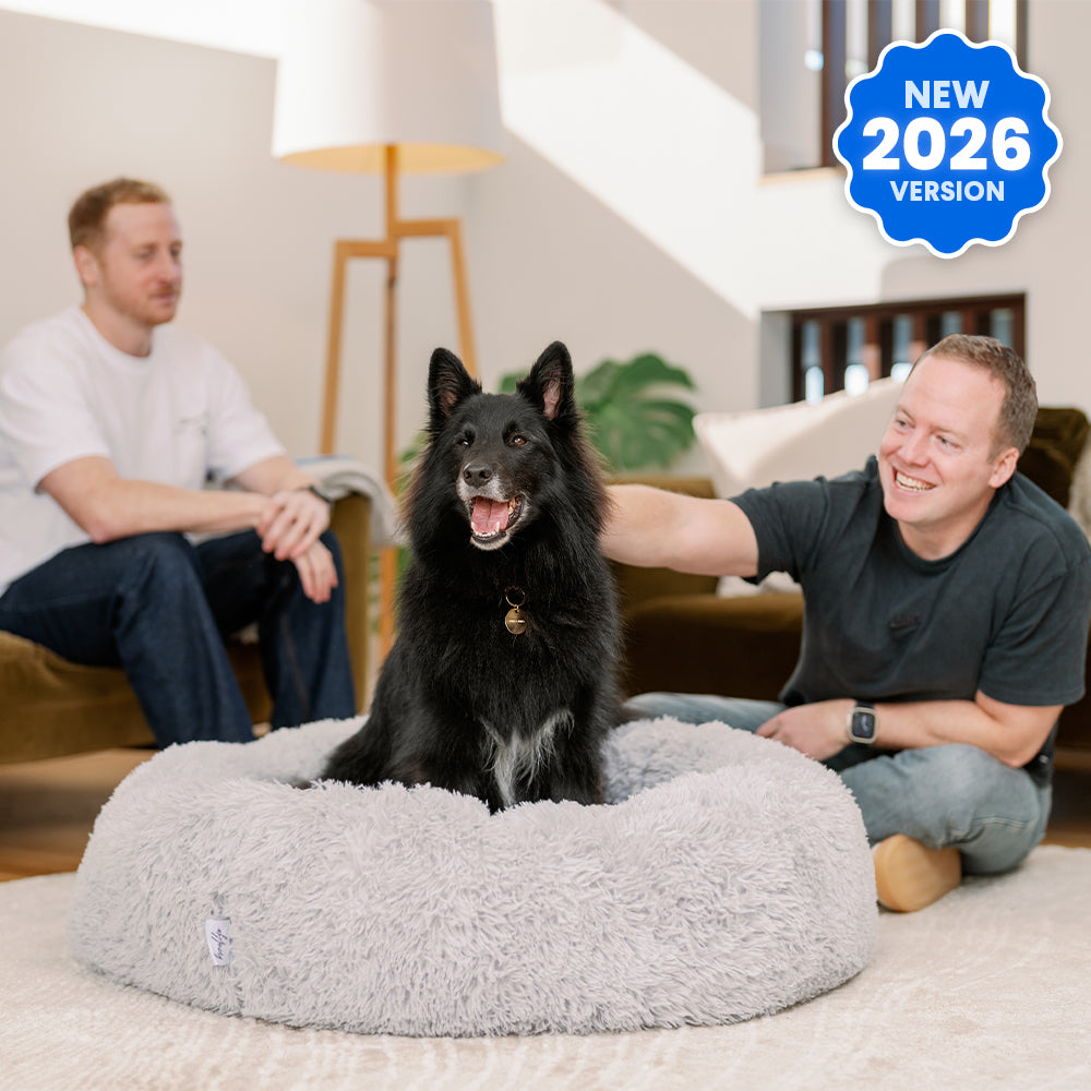 Ultimate Dog Starter Bundle Pack