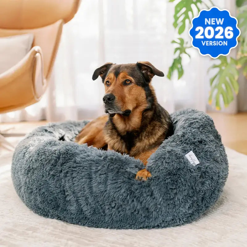Ultimate Dog Starter Bundle Pack