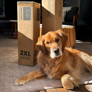 Happy customer with their bed