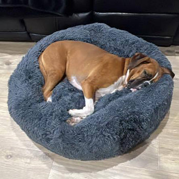 Happy customer with their bed