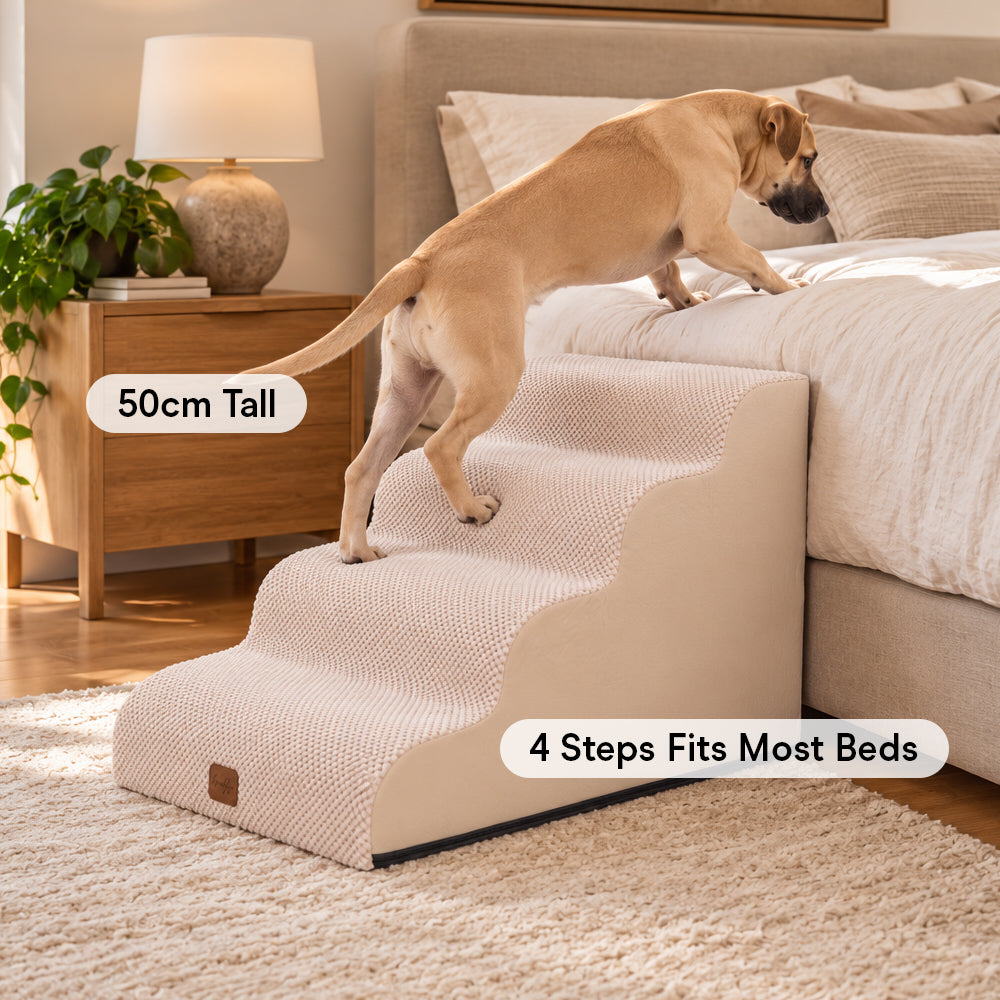 Brooklyn® Dog Steps