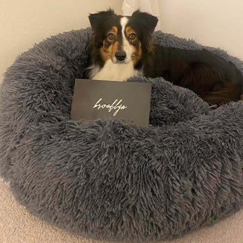 Happy customer with their bed