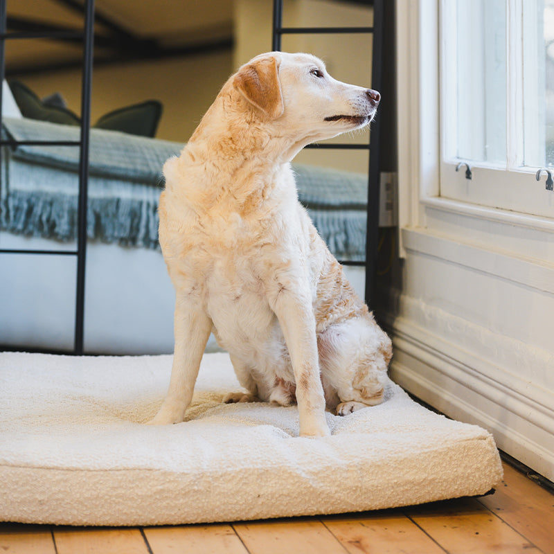 Brooklyn® Cooling Durable Boucle Cover