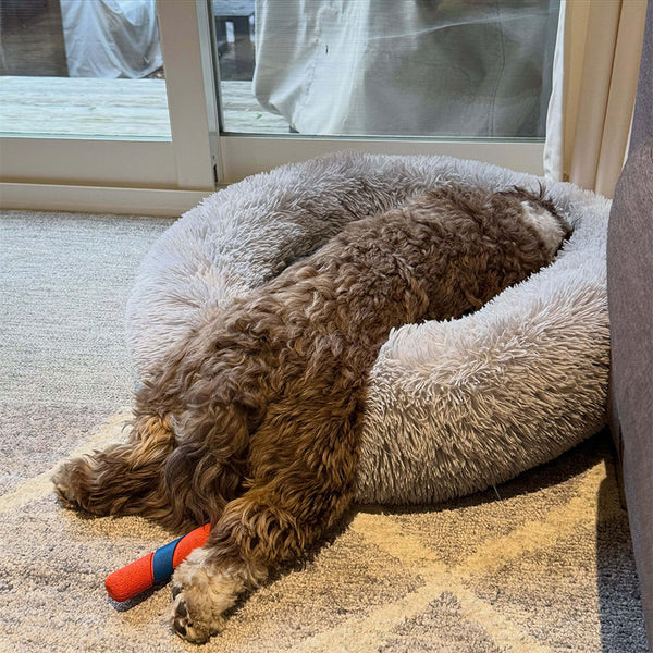 Happy customer with their bed