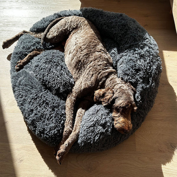 Happy customer with their bed