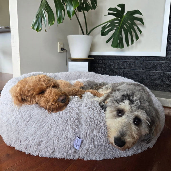 Happy customer with their bed