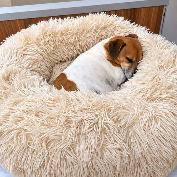 Happy customer with their bed