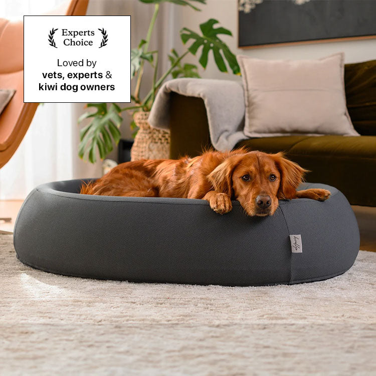 Protect their elbows. Dogs shouldn't sleep on the floor.