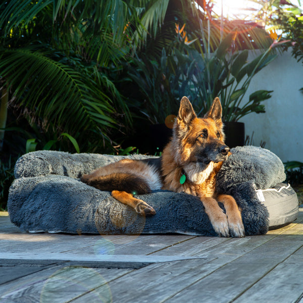 Brooklyn® Chew Proof Luxe Lounger (2-in-1 Dog Bed)
