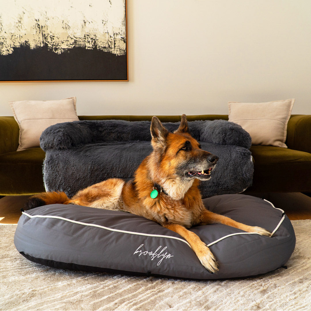 Brooklyn® Chew Proof Luxe Lounger (2-in-1 Dog Bed)