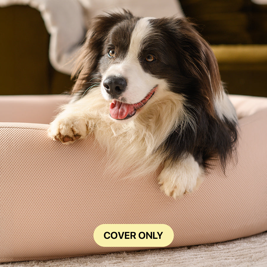 Spare Covers for Brooklyn® Nest Dog Bed