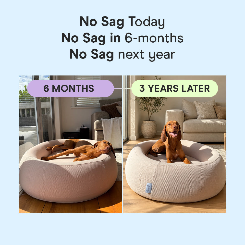 Brooklyn® Nest Cooling Dog Bed (Orthopaedic Memory Foam)