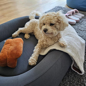 Happy customer with their bed