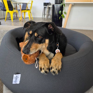 Happy customer with their bed