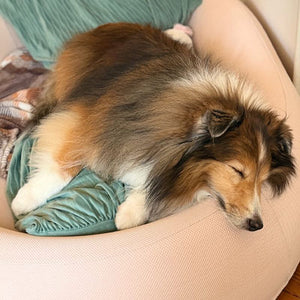 Happy customer with their bed