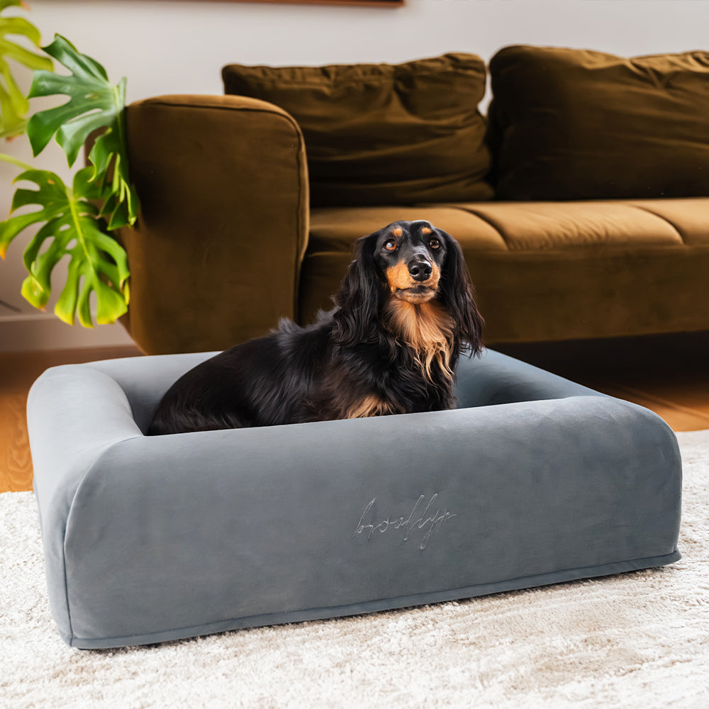 Brooklyn® Ortho Pro Dog Bed (Orthopaedic Memory Foam Dog Bed)