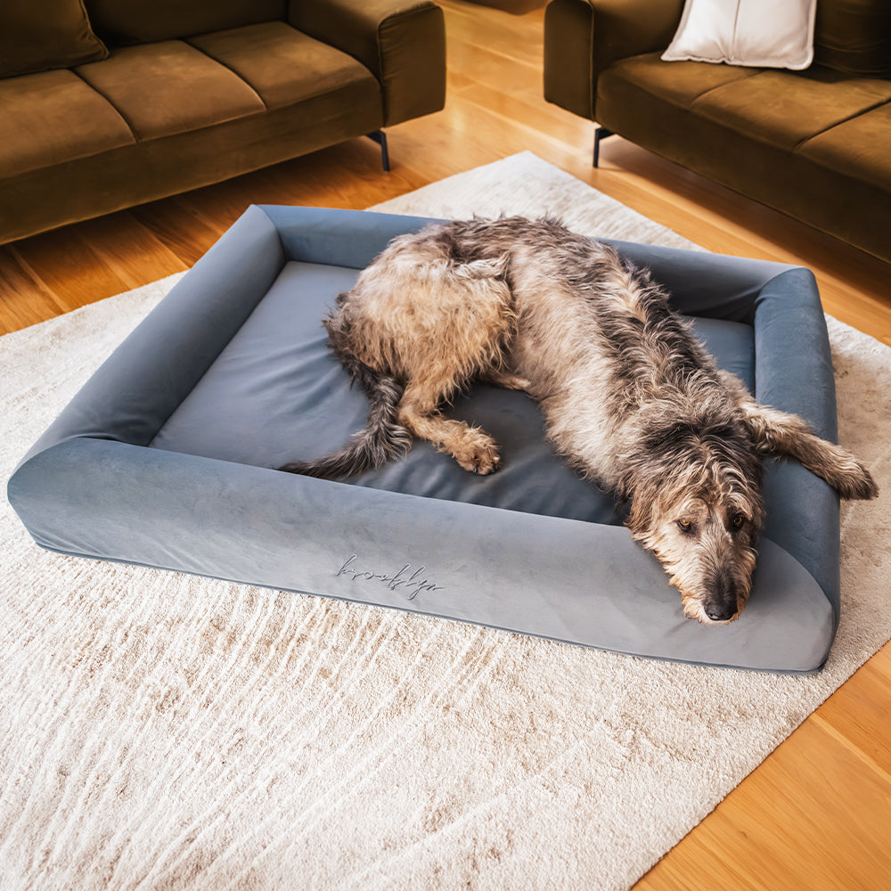 Brooklyn® Ortho Pro Dog Bed (Orthopaedic Memory Foam Dog Bed)