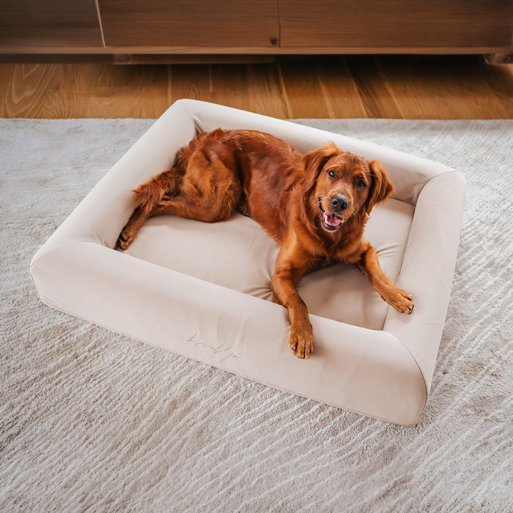 Brooklyn® Ortho Pro Dog Bed (Orthopaedic Memory Foam Dog Bed)