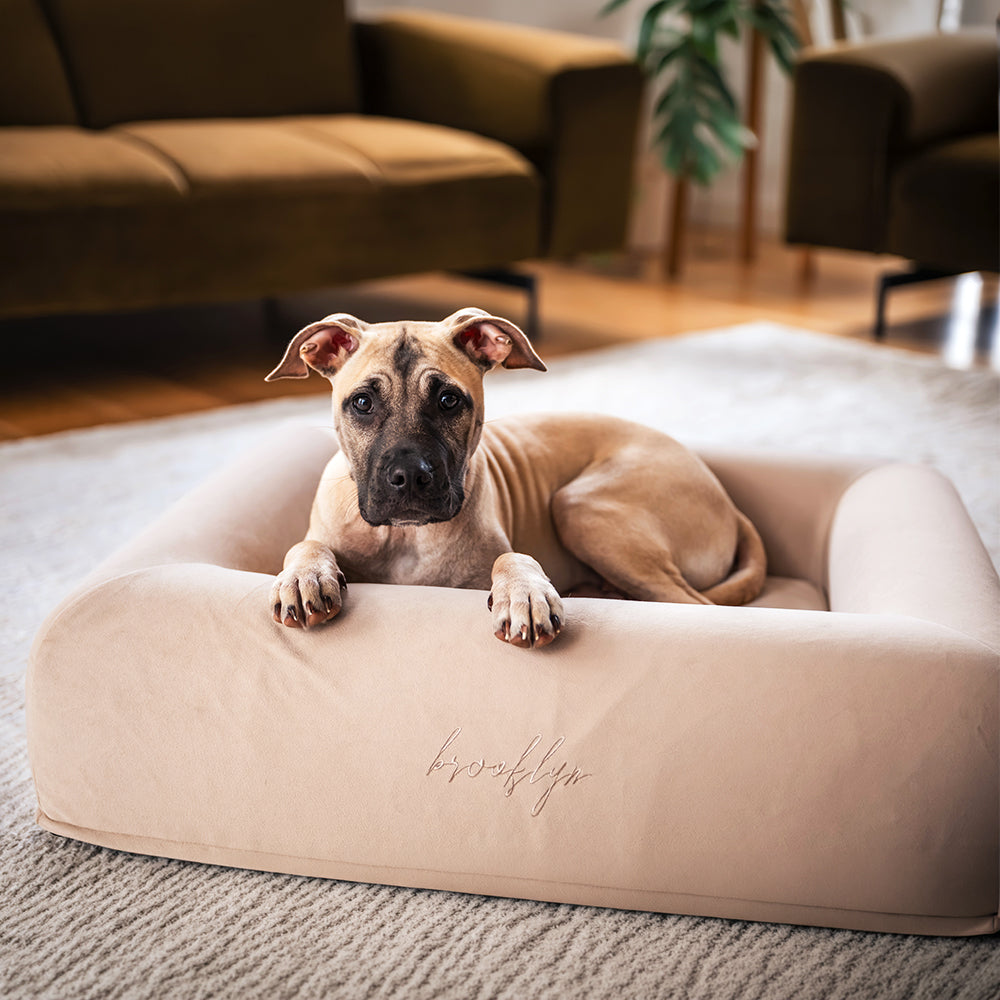 Brooklyn® Ortho Pro Dog Bed (Orthopaedic Memory Foam Dog Bed)