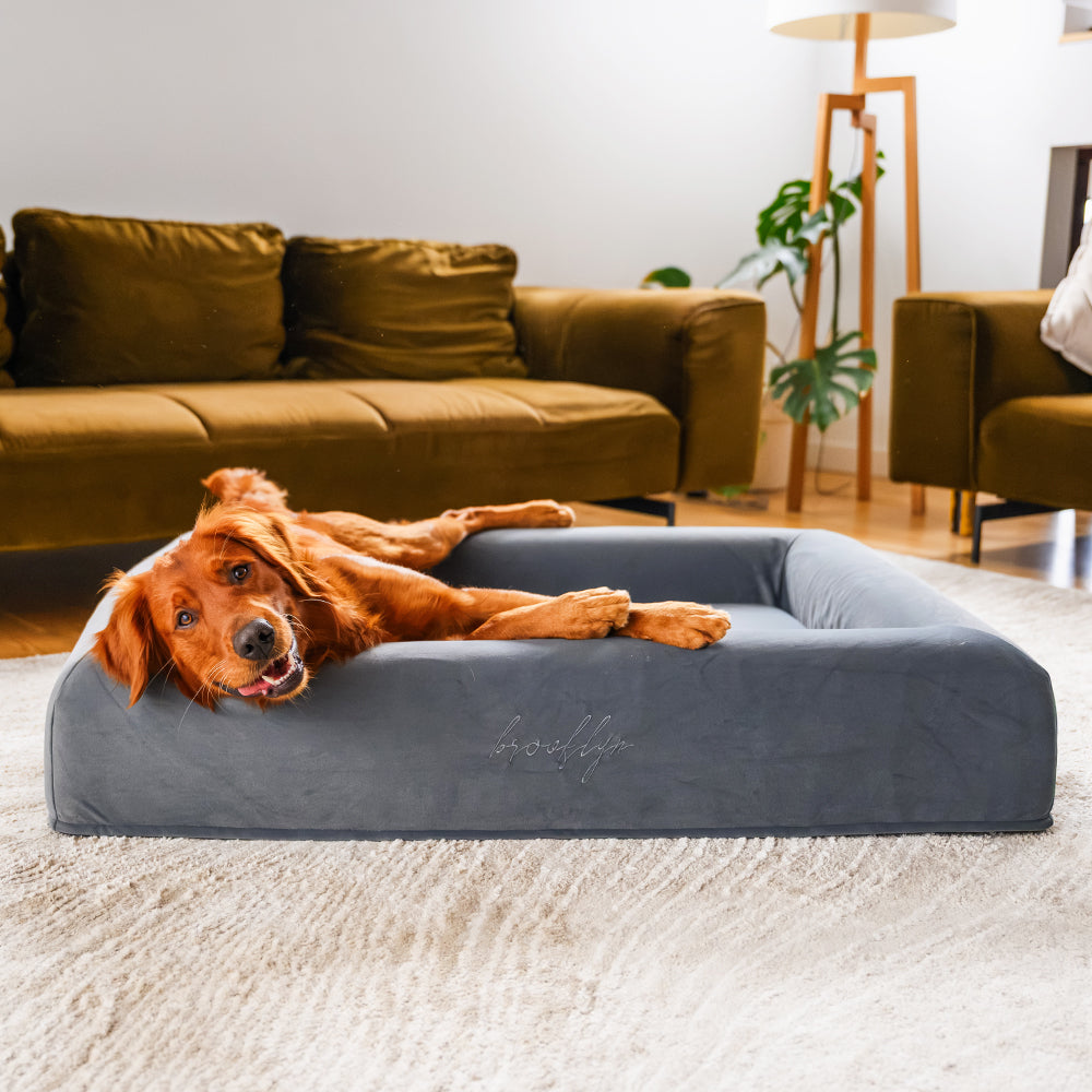Brooklyn® Ortho Pro Dog Bed (Orthopaedic Memory Foam Dog Bed)