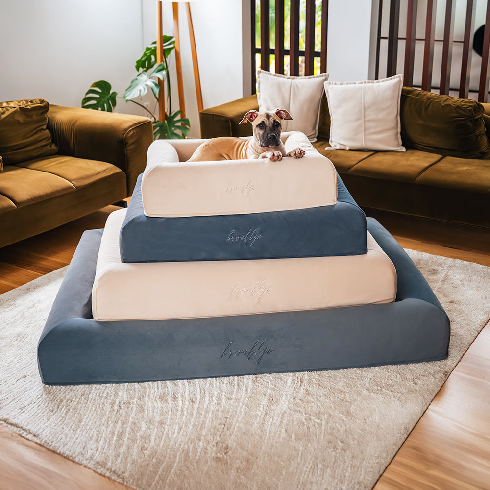 Brooklyn® Ortho Pro Dog Bed (Orthopaedic Memory Foam Dog Bed)