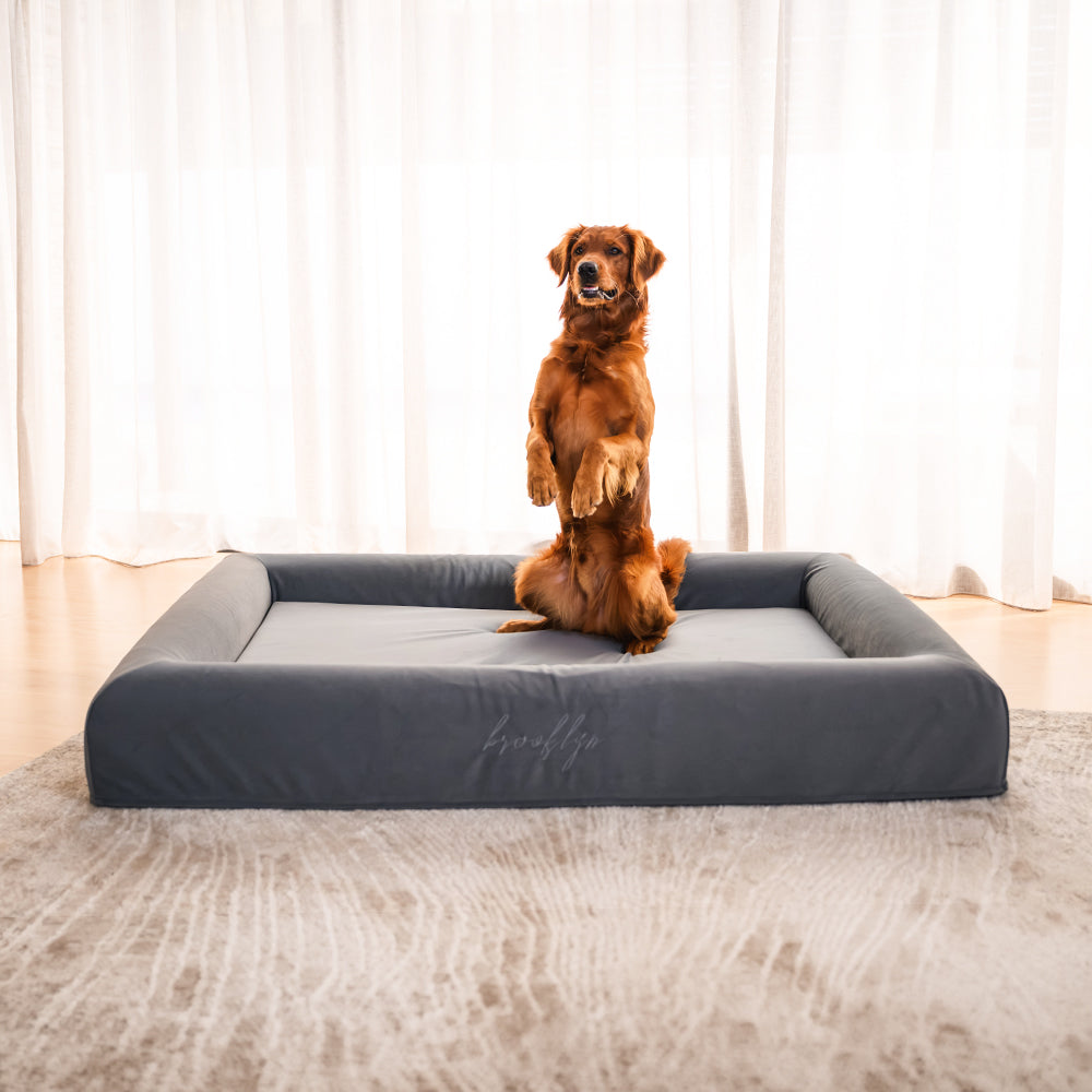Brooklyn® Ortho Pro Dog Bed (Orthopaedic Memory Foam Dog Bed)