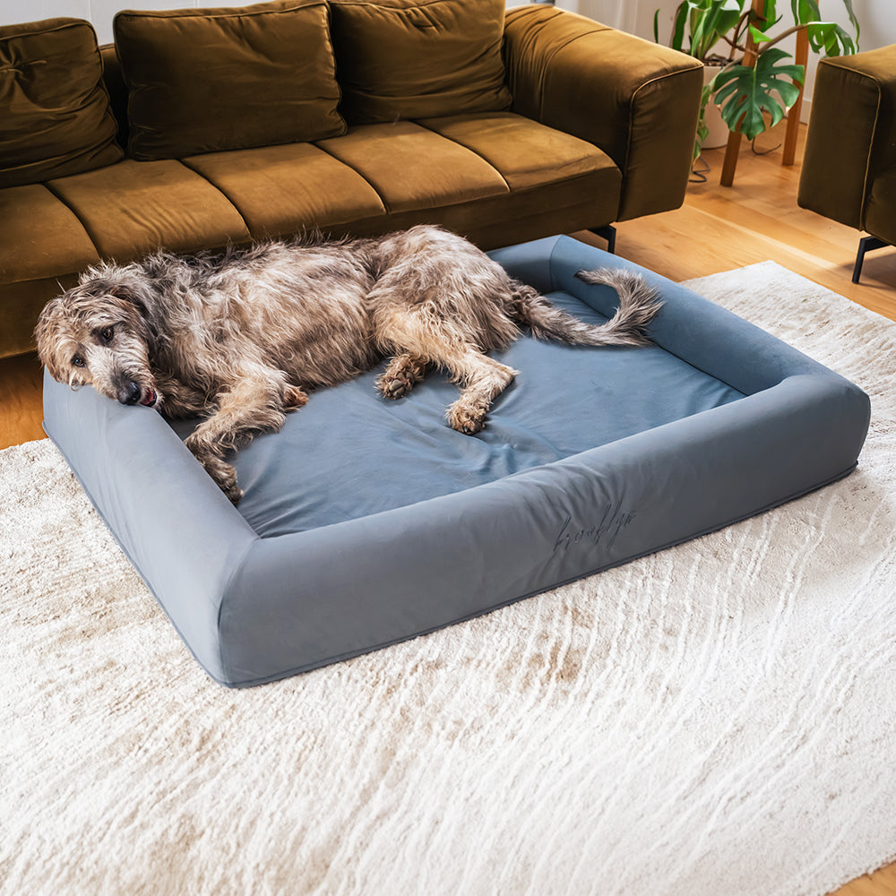 Brooklyn® Ortho Pro Dog Bed (Orthopaedic Memory Foam Dog Bed)