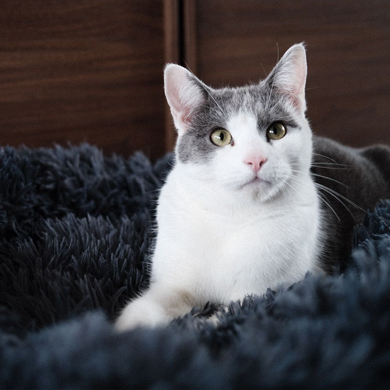 Brooklyn® Deep Sleep Cat Bed