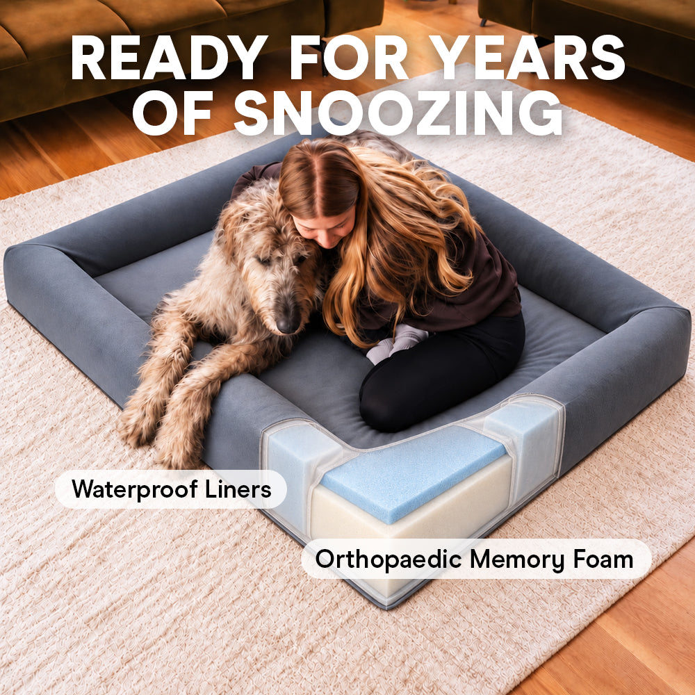 Brooklyn® Ortho Pro Dog Bed (Orthopaedic Memory Foam Dog Bed)