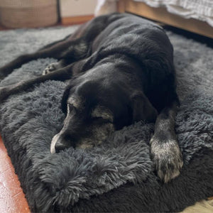 Happy customer with their bed