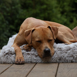 Happy customer with their bed
