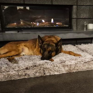 Happy customer with their bed