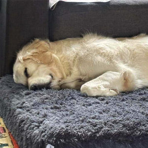 Happy customer with their bed
