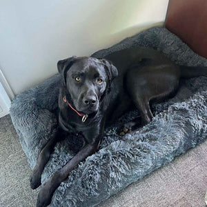 Happy customer with their bed