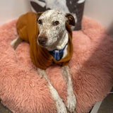 Danni relaxing in her Brooklyn bed