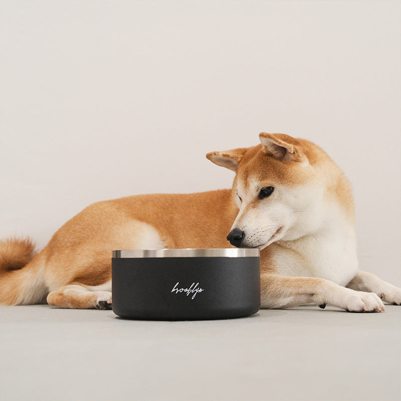 Brooklyn® Tuff Dog Bowl