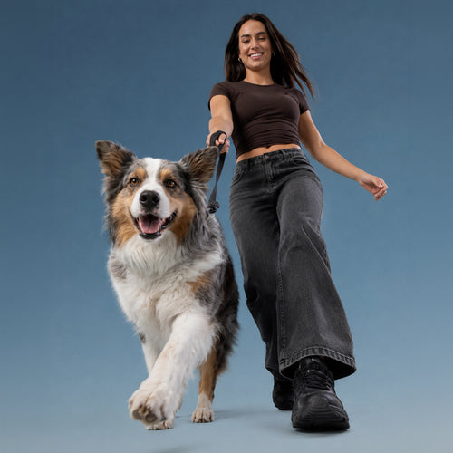 Brooklyn® Ultra Dog Leash