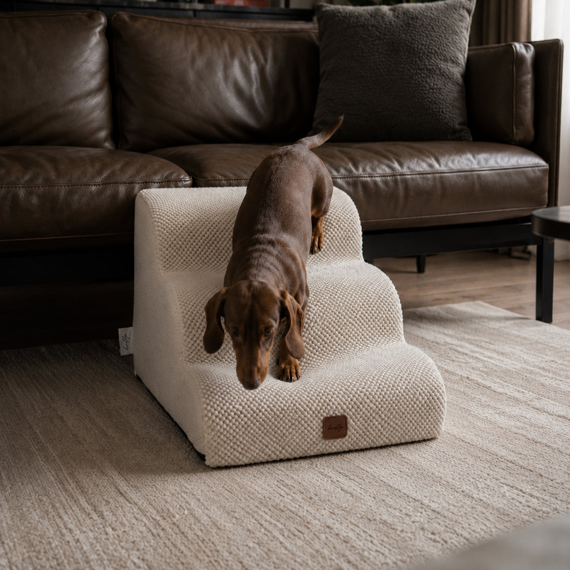 Brooklyn® Dog Steps