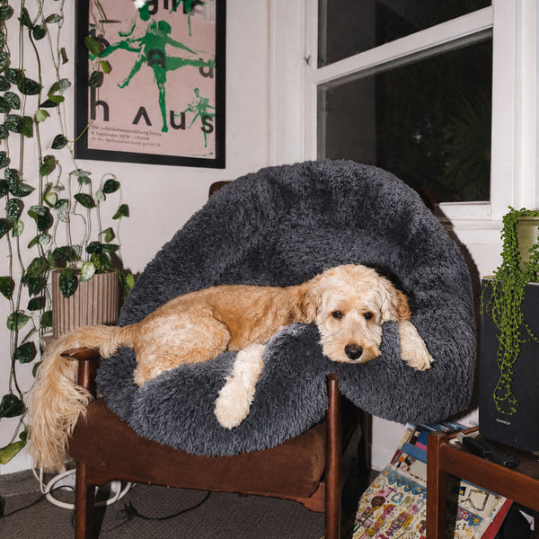 Happy customer with their bed