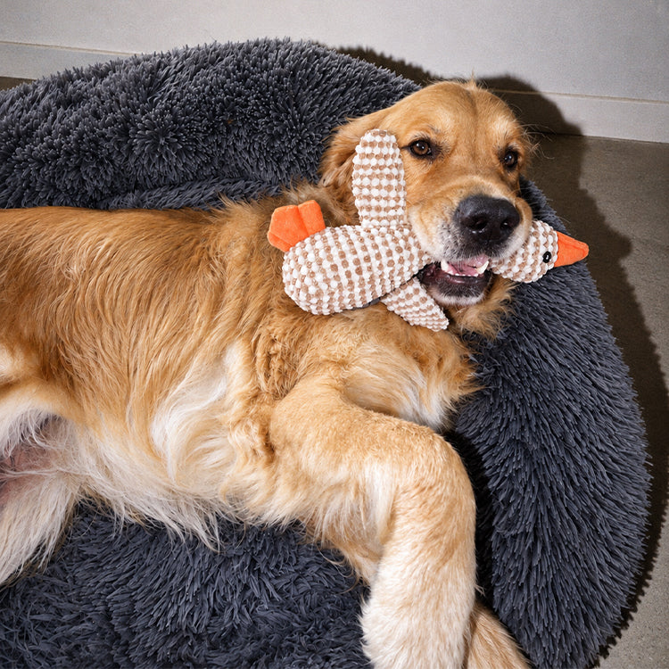 Brooklyn® Deep Sleep Pet Bed